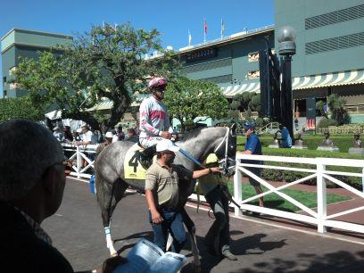 Long time horse player. Life long horse racing fan. There's nothing better than watching the horses run. My home track is Santa Anita.