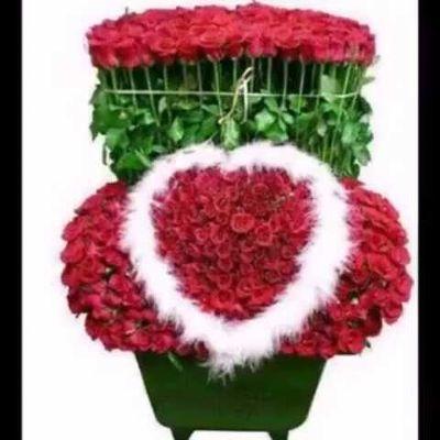 hadab0102's profile picture. 