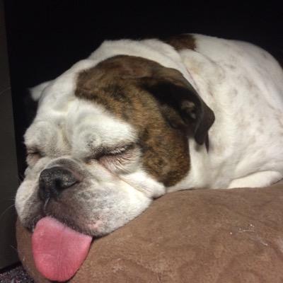 will_y_3's profile picture. 