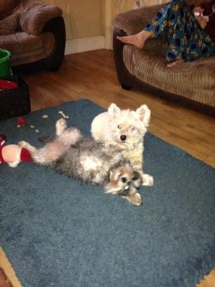 sarah44rich's profile picture. 