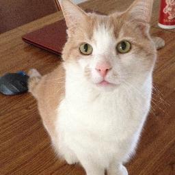 chull56's profile picture. 