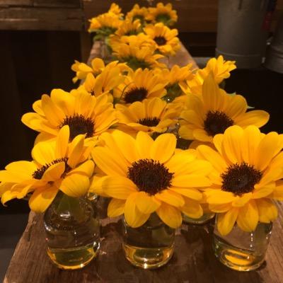 imymemne00's profile picture. 仕事して、ネイルして、ライブ行って。好きな人や好きなことがあることに幸せを感じる日々。