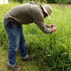 ...Biodiversité, Madagascar, Sciences, Conservation, Recherche, 🧐...