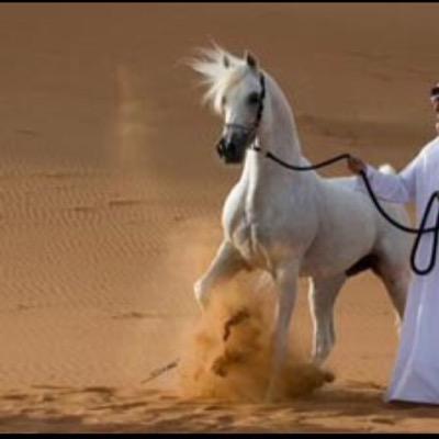 لاوجهوا بي على القبله وصلو بي… يالله عسى وجهتي لا مت للجنه