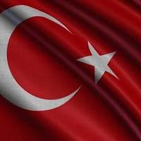 disconnectus erectus (@turan_oguzhan) Twitter profile photo