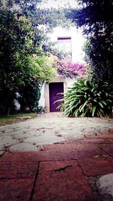 LACASONAVILLA's profile picture. 