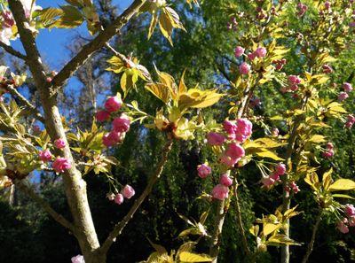 lifesweetlie's profile picture. #fitness and #food lover.
Changing little by little - 改善