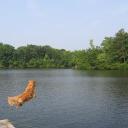 Stephen Hunn - @stephen_hunn - Twitter