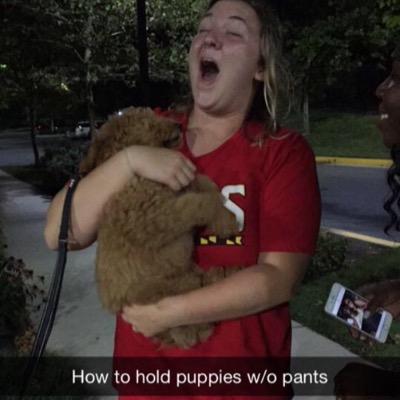 reesiebb's profile picture. she/her