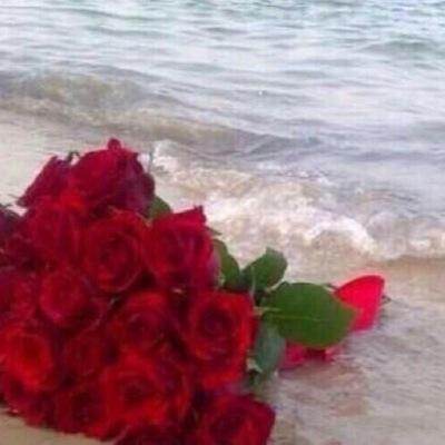 snsa1010's profile picture. الوفاءالصدق الإخلاص في زمن  قل فيه كل ماسبق