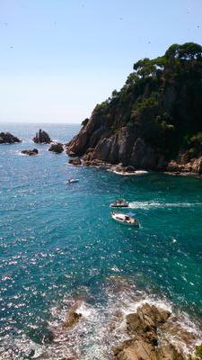 melara_roge's profile picture. 