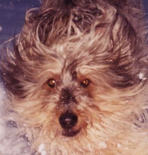 kelleymomo's profile picture. I'm here for the free snacks, and a few nuggets of wisdom.