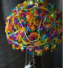 The only place in the US where you can find Rainbow Roses!