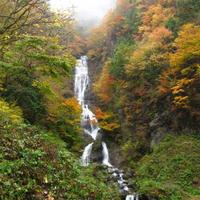 Walk Japan (@walkjapan) 's Twitter Profile