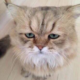 aaaffffffff1's profile picture. 慶應義塾大学 フォロバ100%