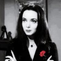 @drag0nista.bsky.social (@drag0nista) 's Twitter Profile Photo @drag0nista.bsky.social (@drag0nista) 's Twitter Profile Photo