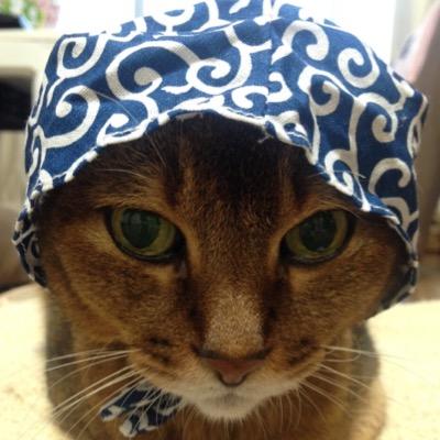 sanaaaaasu's profile picture. 大学生＊MLC＊Perfume＊邦ロック＊とり肉