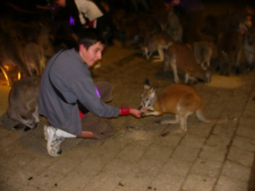 sampsonproduct's profile picture. Hey its the official matt sampson here. no1 special tho. just me. say hi :)