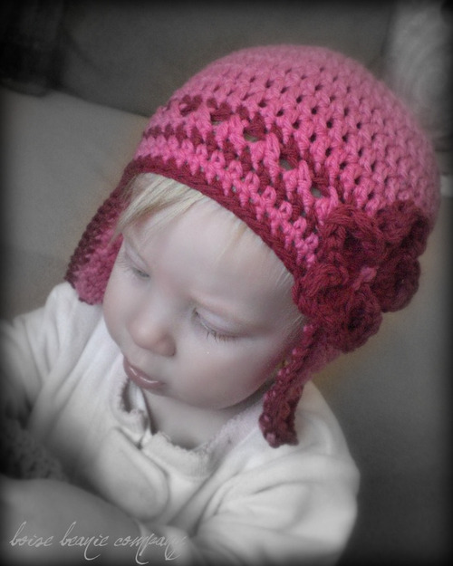 boisebeanieco's profile picture. anomalous adornment for your noggin.