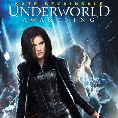 kabzliz's profile picture. 