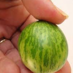 MiciPepeni's profile picture. 