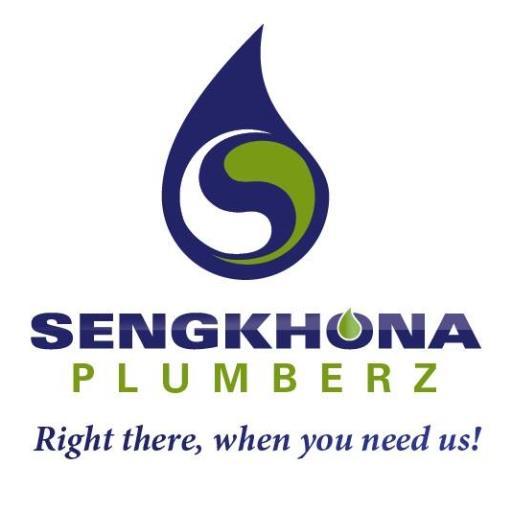 Professional Plumbers. Plumbing Maintenance and Construction