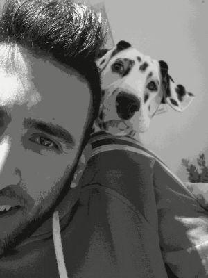 AyusoJuanan's profile picture. 