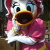 デイジーのジレンマ (@donnaduck2) Twitter profile photo デイジーのジレンマ (@donnaduck2) Twitter profile photo