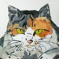 MotoGuzzi乗り けんもちまっさーじ (@bxf9zx3kp4fvdq2) 's Twitter Profile