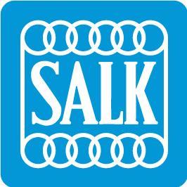 SALKTennis's profile picture. Officiell Twitter-sida för SALK (Stockholms Allmänna Lawntennis Klubb).