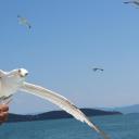 natta (@1965Natta) Twitter