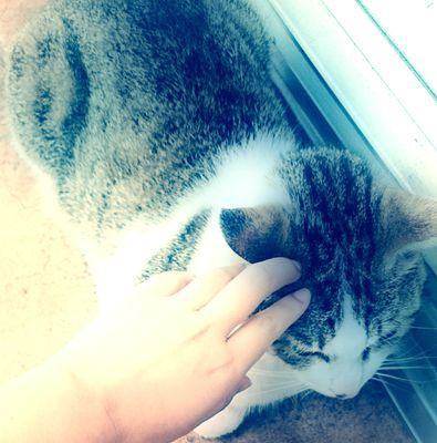 aicos1993's profile picture. costume play account :: ※Unauthorized reproduction prohibited※無断転載禁止※