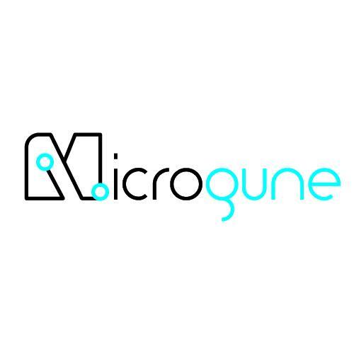Microgune has transformed in 2015 into a strategic Platform to develop high performance research in microtechnologies in the Basque Country.