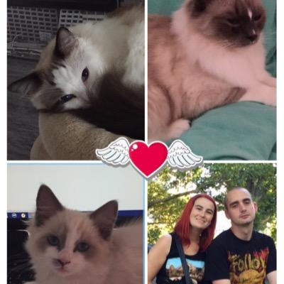OnlyMiniNieke's profile picture. Born in 87, love cat’s, love life, love wrestling. Adore my hubby.