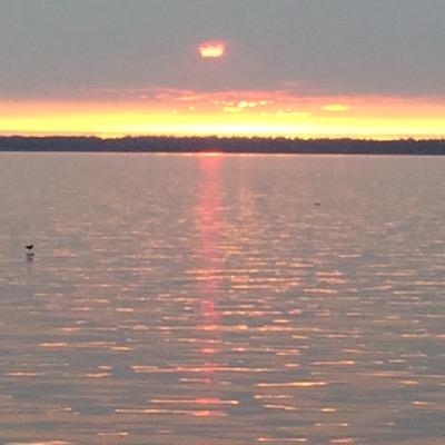 hlb6284's profile picture. 