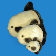 yoshiitake's profile picture. 