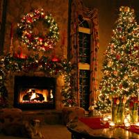 Navidad (@navidadcalida) 's Twitter Profile
