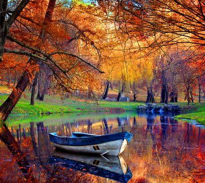 Mujayoussef's profile picture. 