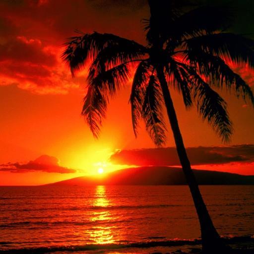 Hawaii is a getaway with every glance. Photographs of balmy breezes, swaying palm trees, blue skies, colorful sunsets, volcanos, and tranquil ocean waters.