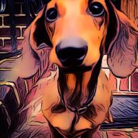 Jash (@lmjpspg) Twitter profile photo