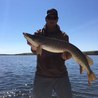 Grant Sittler (@sitts16) 's Twitter Profile
