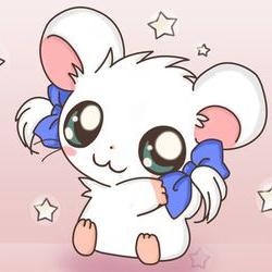 RATONA (@ratona96) / Twitter RATONA (@ratona96) / Twitter