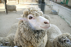 okadari's profile picture. 独り言です。