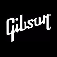 Gibson(@gibsonguitar) 's Twitter Profile Photo