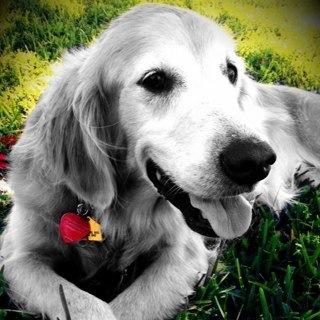 alfa1364's profile picture. 