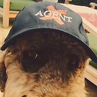 William Blake Herron (@herronblake) Twitter profile photo