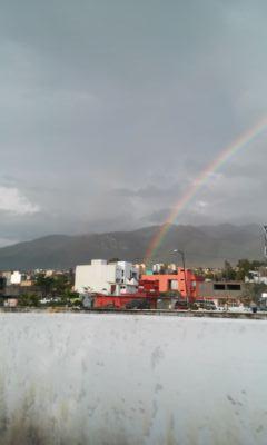 Nativo del D.F., avecindado en Acapulco.