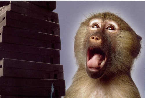 tapemonkey's profile picture. You gonna eat all that?