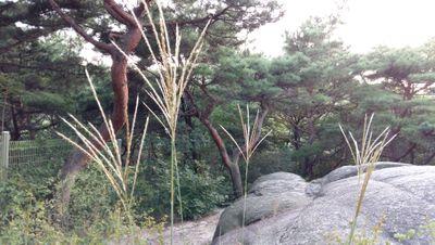 kbm162098's profile picture. 끝이 아름다운 사람되고파~