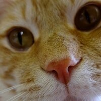 HIKO (@fukiru) 's Twitter Profile Photo HIKO (@fukiru) 's Twitter Profile Photo